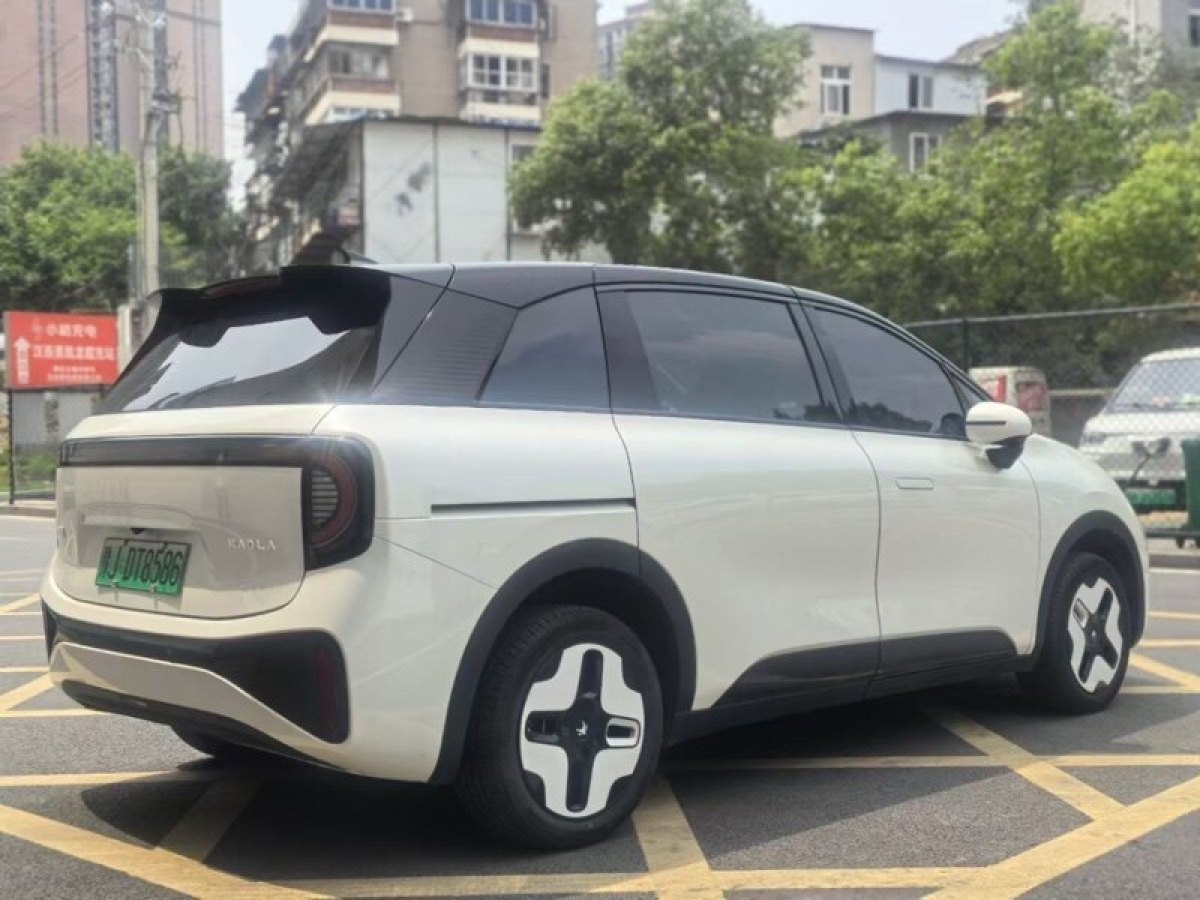 極狐 極狐考拉  2023款 家庭版圖片