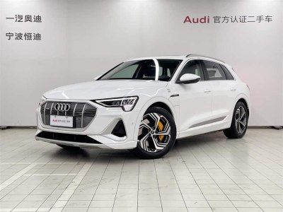 2023年12月 奧迪 奧迪e-tron 50 quattro 臻選型圖片