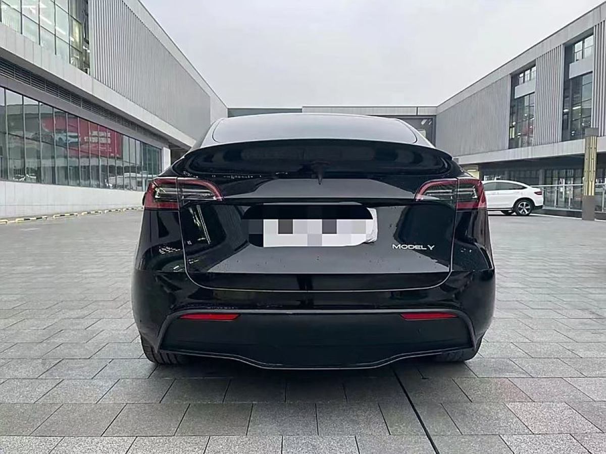 特斯拉 Model 3  2022款 后輪驅(qū)動(dòng)版圖片