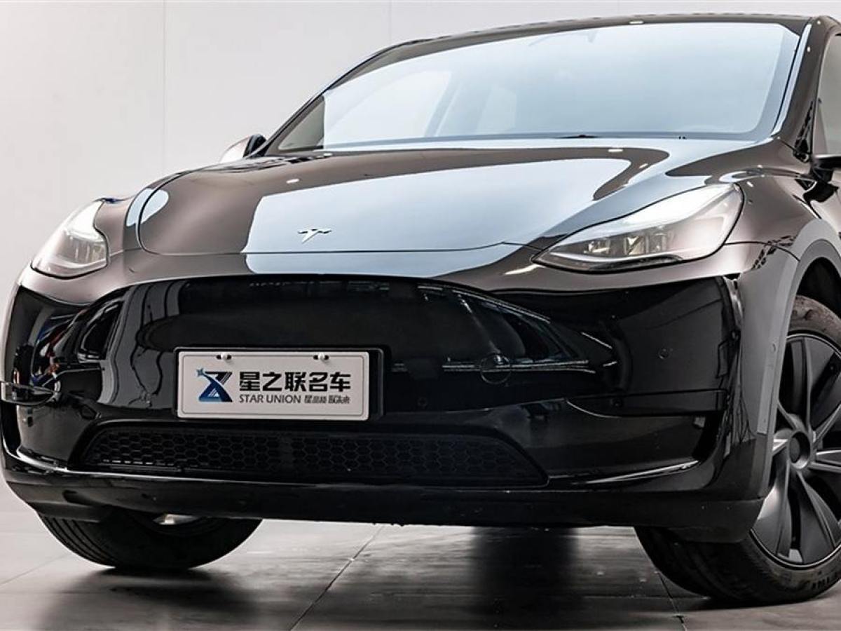 特斯拉 Model 3  2020款 改款 長續(xù)航后輪驅動版圖片