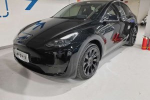 Model Y 特斯拉 改款 后輪驅(qū)動版