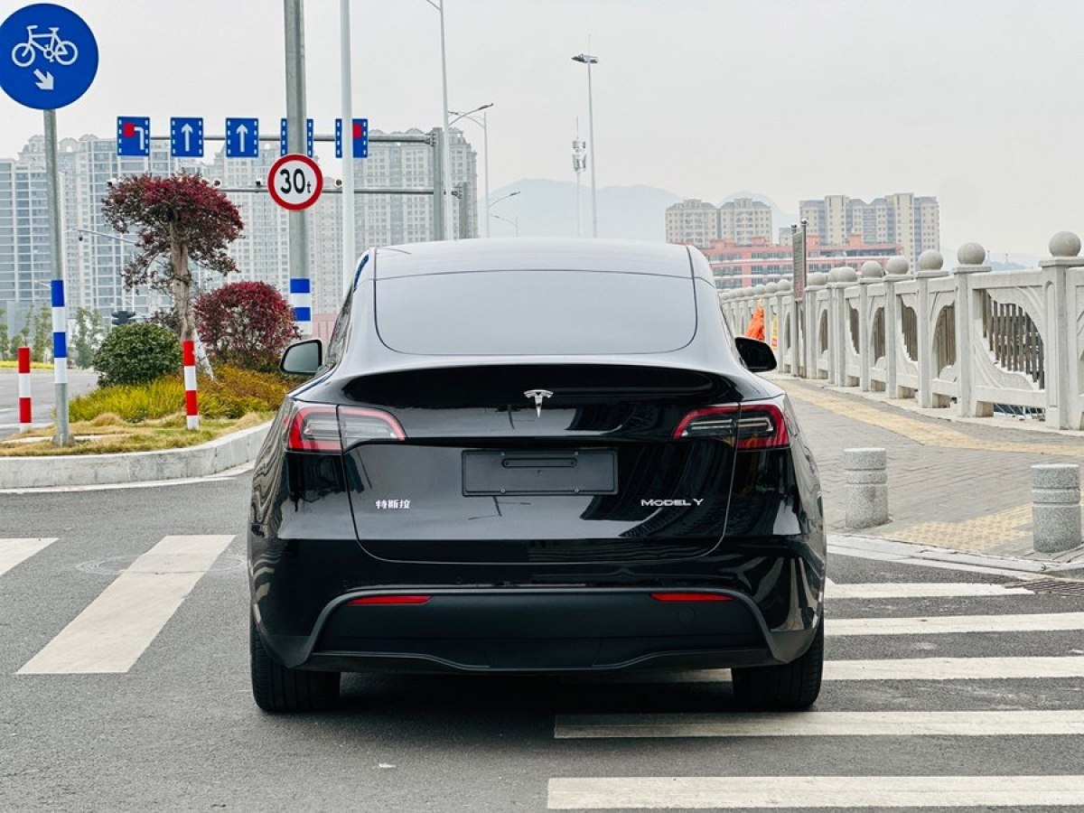 特斯拉 Model 3  2020款 改款 長續(xù)航后輪驅動版圖片