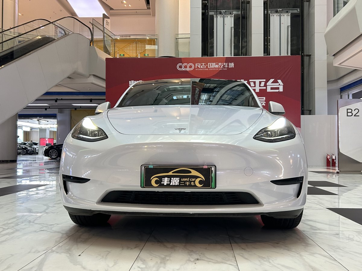 特斯拉 Model Y  2020款 改款 長(zhǎng)續(xù)航后輪驅(qū)動(dòng)版圖片