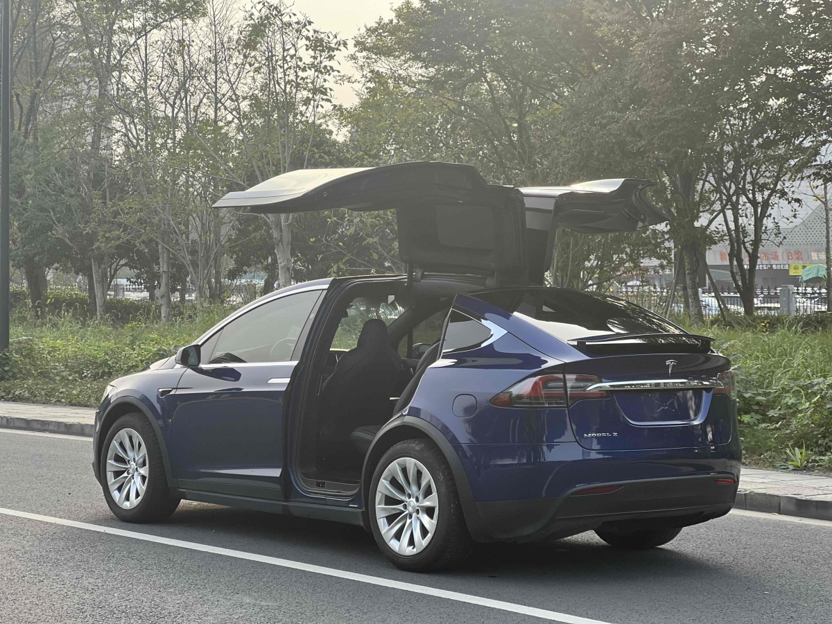 特斯拉 Model X  2016款 Model X 75D圖片