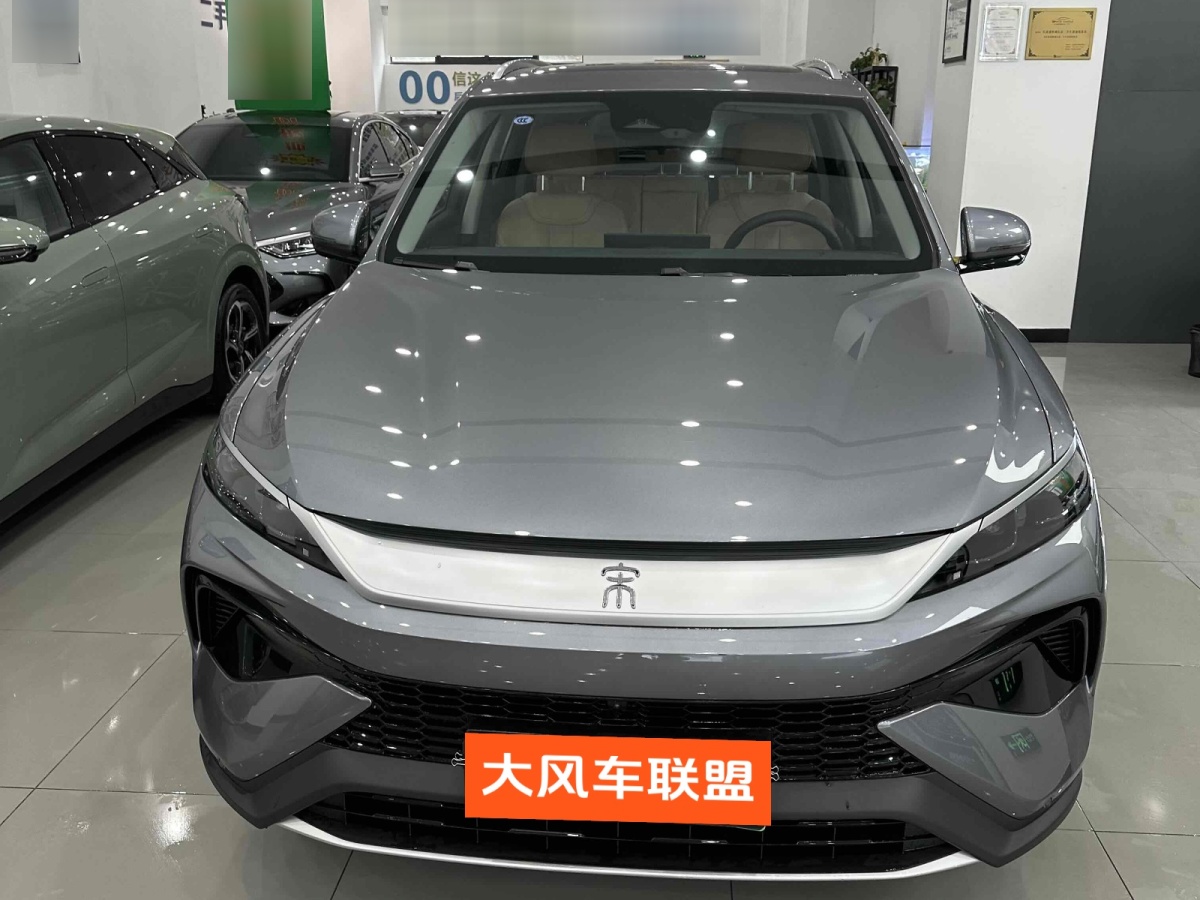 比亞迪 宋Pro新能源  2025款 DM-i 115KM超越型圖片