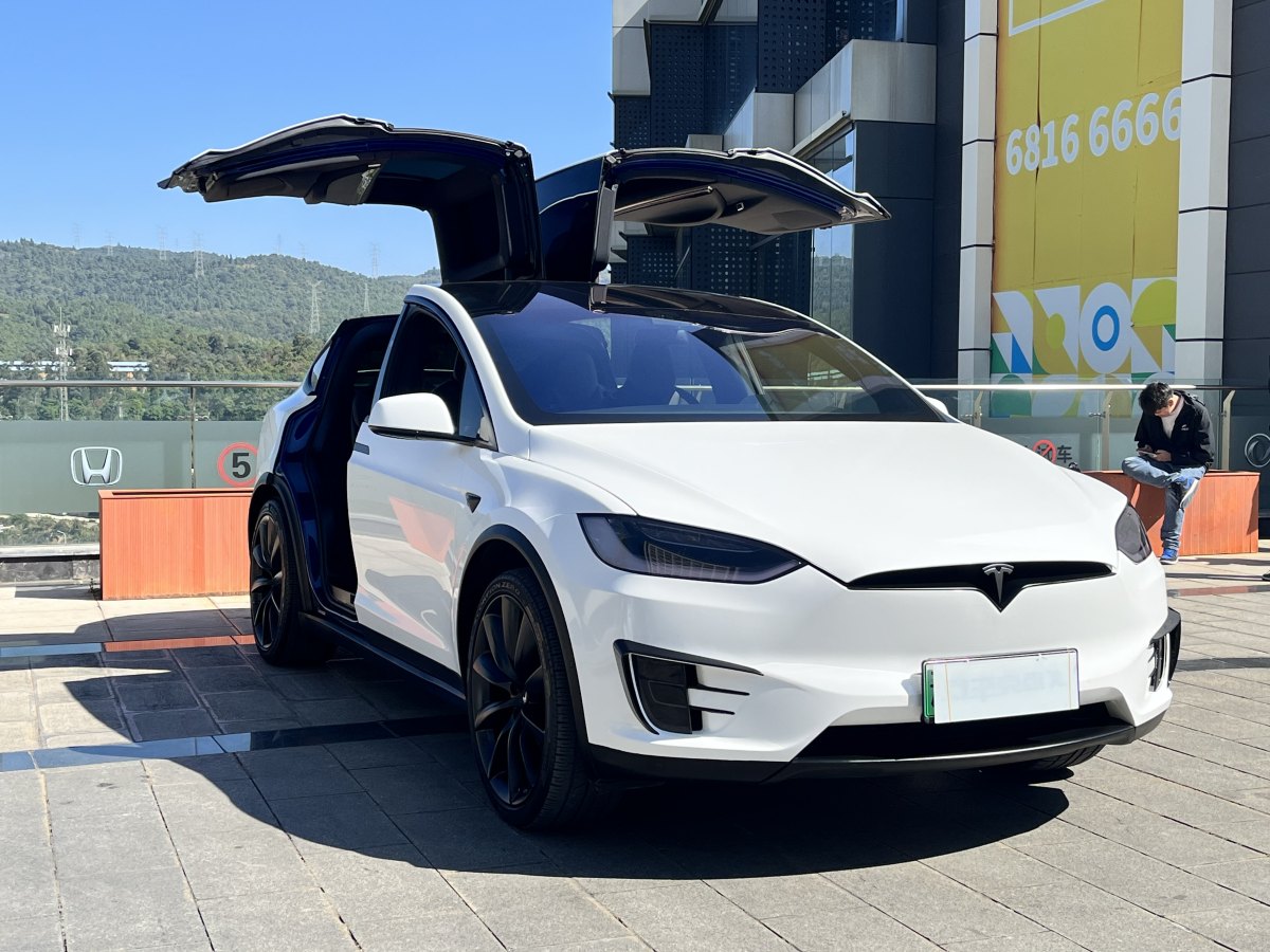 特斯拉 Model X  2016款 Model X 75D圖片