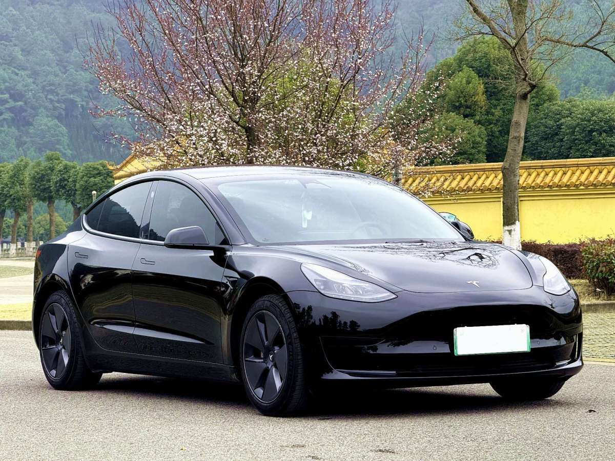 特斯拉 Model 3  2022款 后輪驅(qū)動版圖片