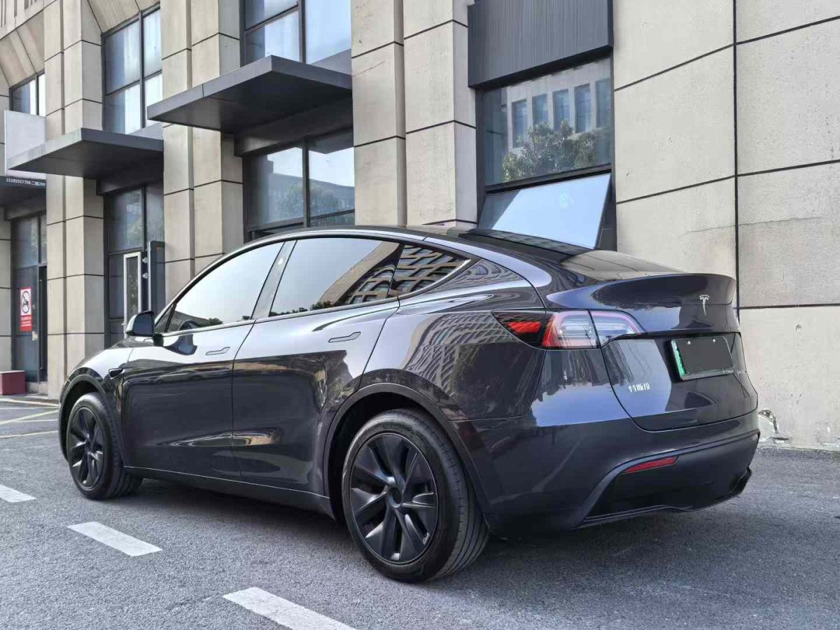 特斯拉 Model Y  2024款 Performance高性能版圖片