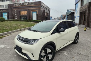 海豚 比亞迪 420km 時(shí)尚版