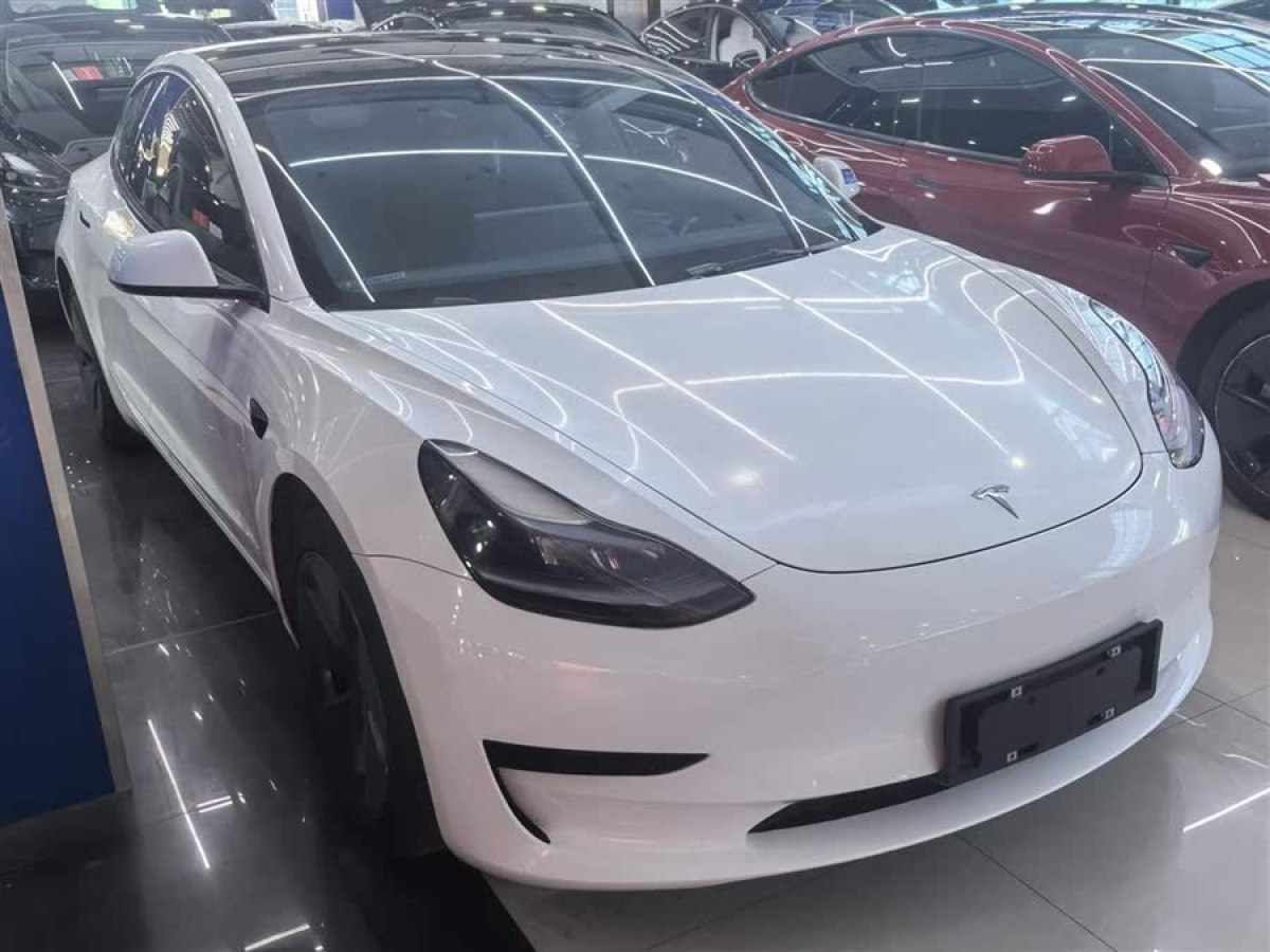 特斯拉 Model 3  2021款 標(biāo)準(zhǔn)續(xù)航后驅(qū)升級(jí)版 3D6圖片
