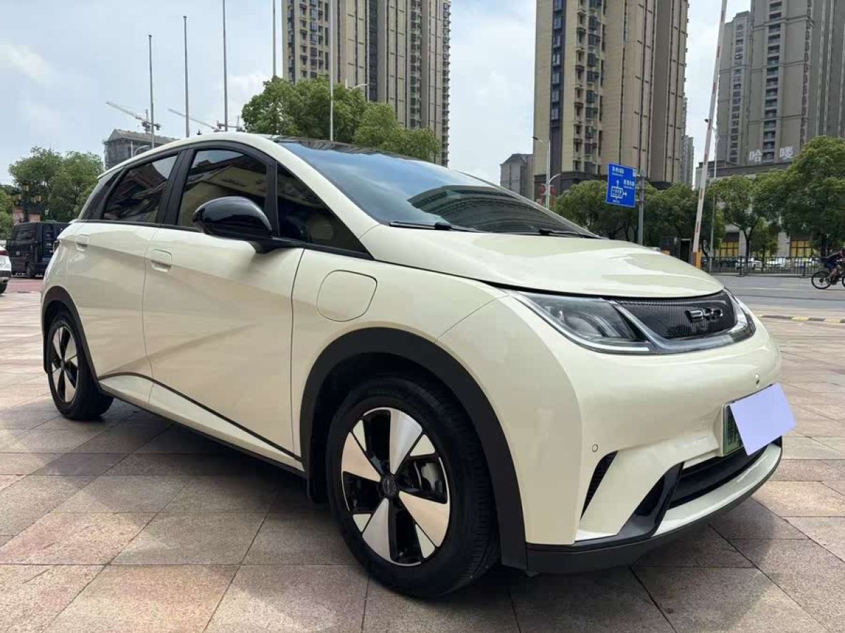 比亞迪 海豚  2023款 420km 時尚版圖片