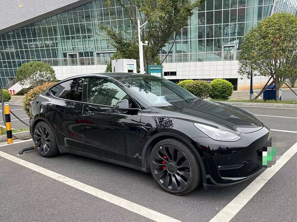 特斯拉 Model 3  2021款 改款 Performance高性能全輪驅(qū)動版圖片