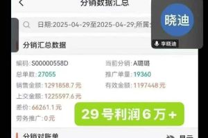 元UP 比亞迪 智駕版 401KM 活力版