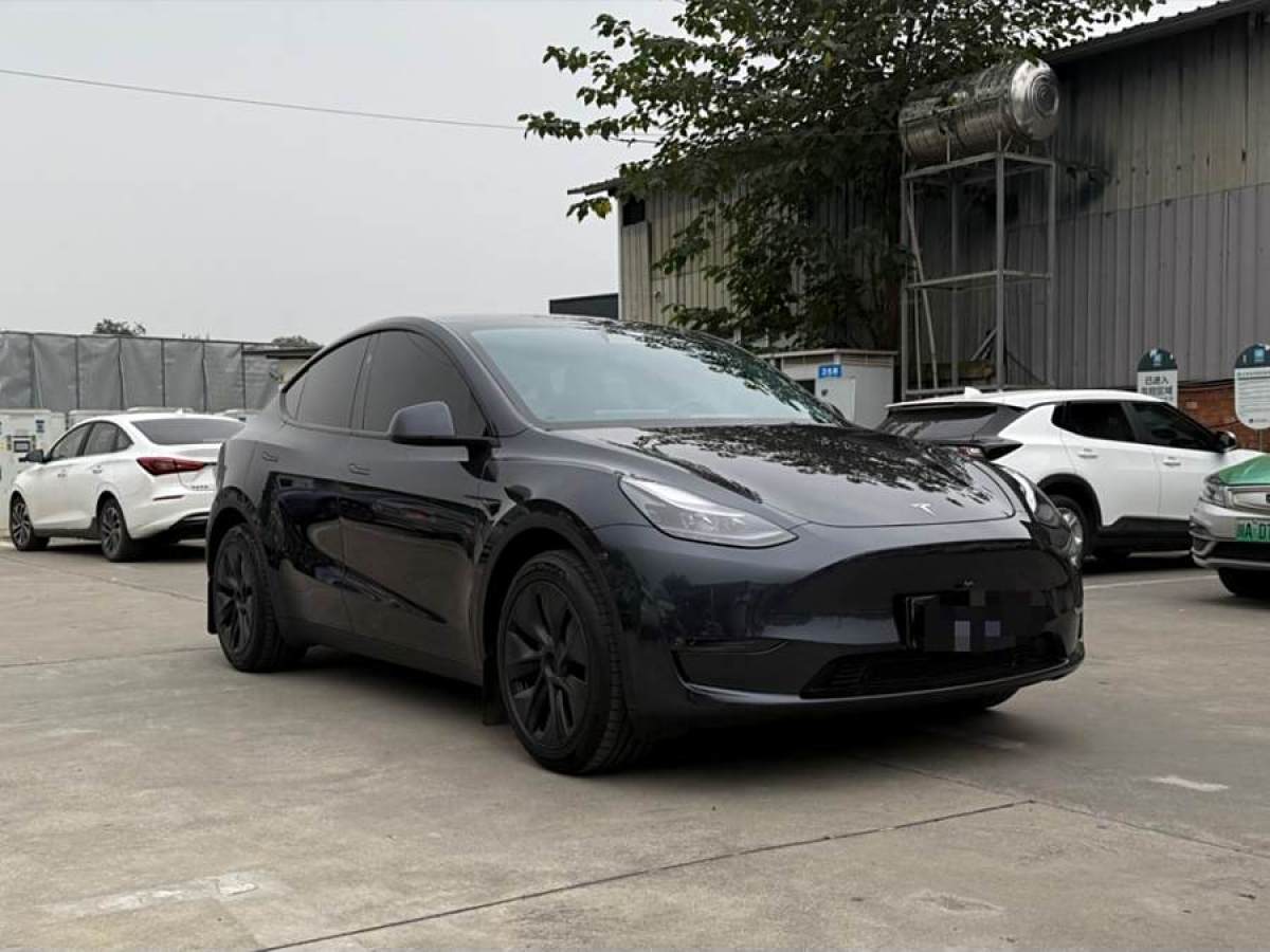 特斯拉 Model Y  2024款 長續(xù)航全輪驅(qū)動(dòng)版圖片