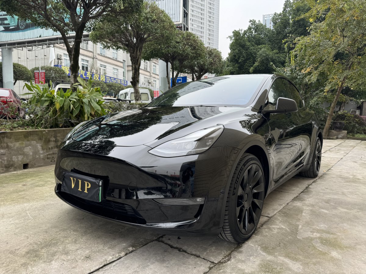 特斯拉 Model Y  2021款 長續(xù)航全輪驅動版 3D7圖片