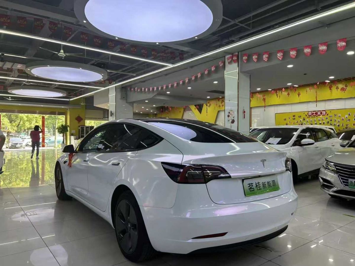 特斯拉 Model Y  2022款 Performance高性能全輪驅(qū)動(dòng)版圖片