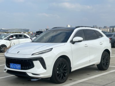 2023年7月 东风风行 风行T5 EVO 1.5TD DCT钻石版图片