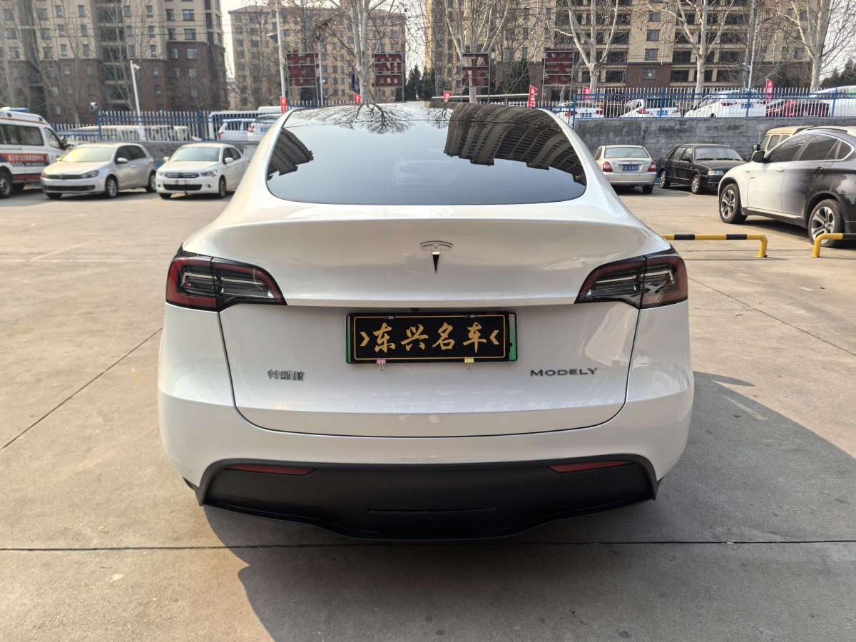 特斯拉 Model 3  2021款 標(biāo)準(zhǔn)續(xù)航后驅(qū)升級(jí)版 3D6圖片