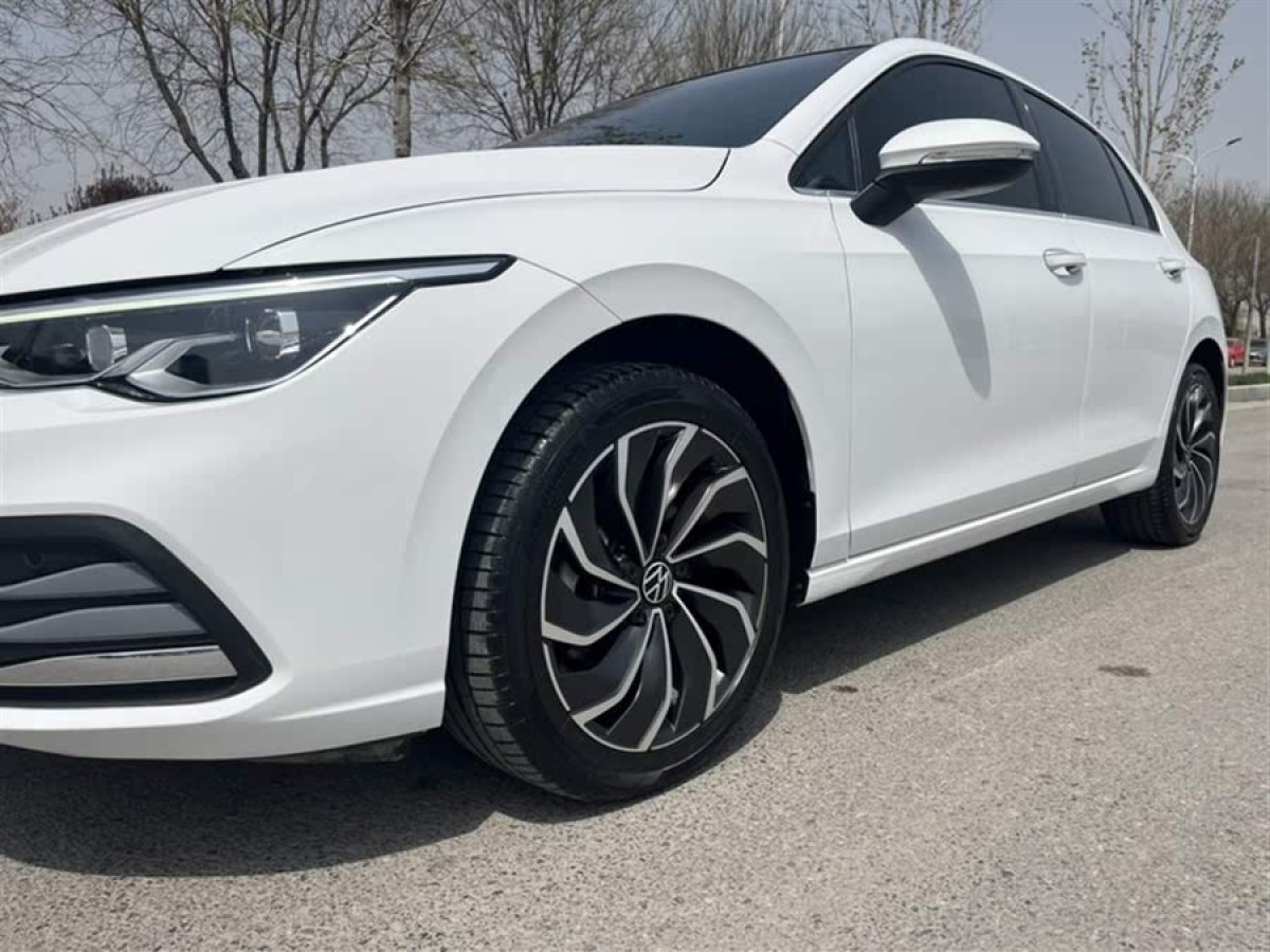 大眾 高爾夫  2021款 280TSI DSG Pro圖片