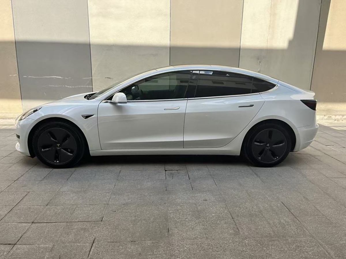 特斯拉 Model Y  2020款 改款 標準續(xù)航后驅(qū)升級版圖片