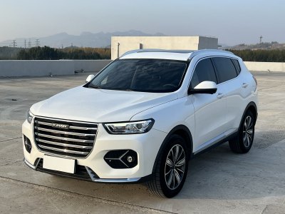 2021年3月 哈弗 H6 1.5GDIT 自動(dòng)鉑金冠軍版圖片