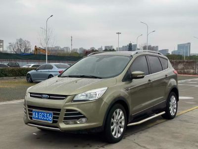 2013年1月 福特 翼虎 1.6L GTDi 兩驅(qū)舒適型圖片