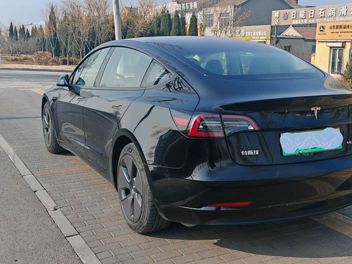 特斯拉 Model 3  2021款 改款 標準續(xù)航后驅(qū)升級版圖片