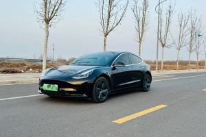 Model 3 特斯拉 改款 標(biāo)準(zhǔn)續(xù)航后驅(qū)升級版