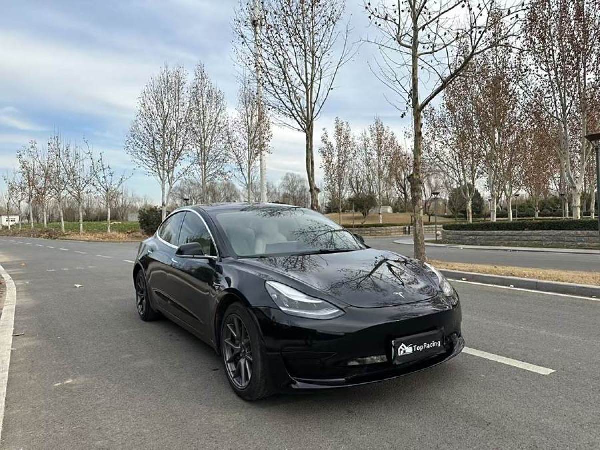 特斯拉 Model 3  2019款 長續(xù)航后驅(qū)版圖片