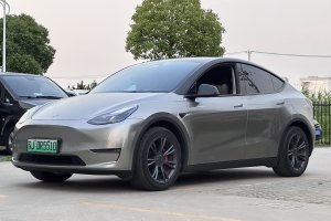 Model Y 特斯拉 長續(xù)航全輪驅(qū)動版