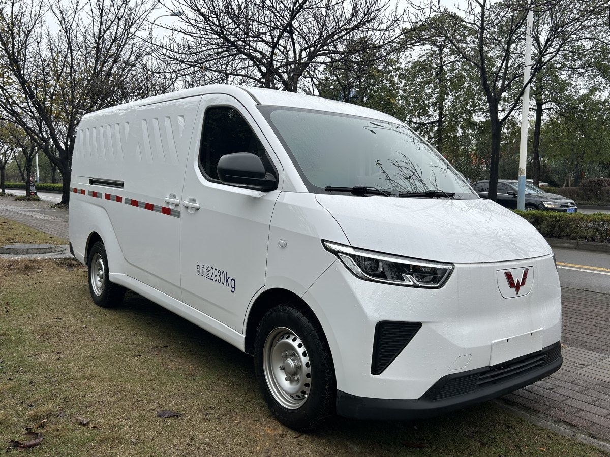 五菱 五菱揚光  2024款 300km 實用型封窗版 75kW圖片