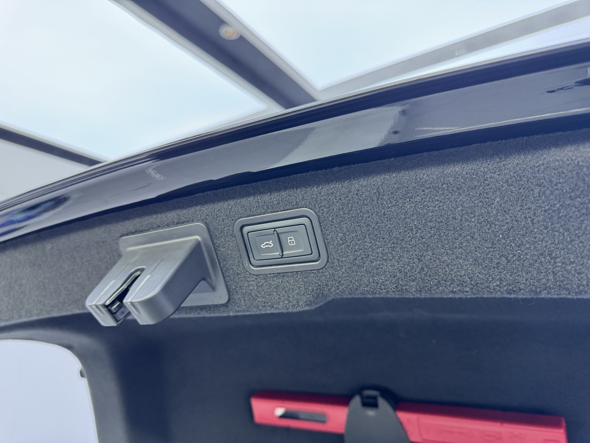 奥迪 奥迪A8  2018款 A8L 55 TFSI quattro投放版精英型图片