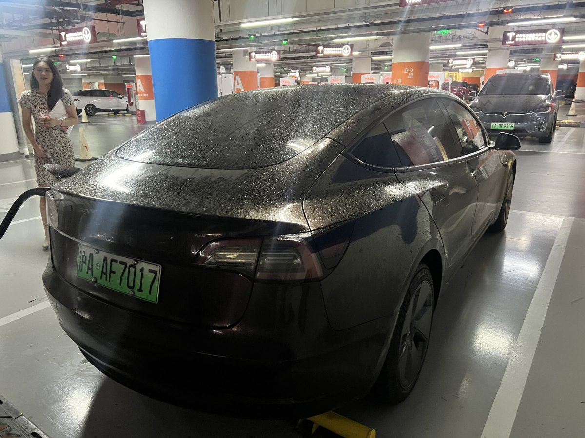 特斯拉 Model 3  2019款 標(biāo)準(zhǔn)續(xù)航后驅(qū)升級版圖片