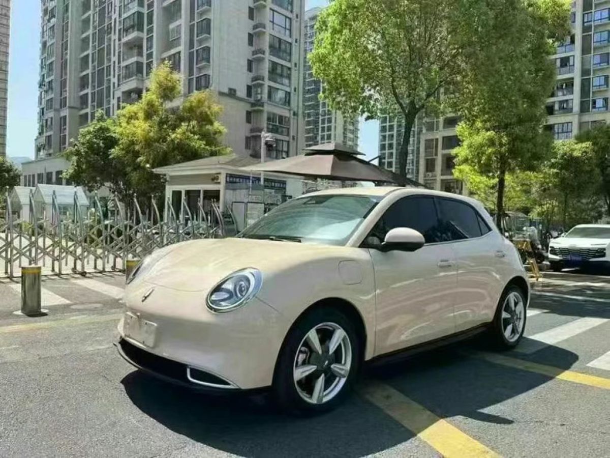 歐拉 歐拉好貓  2022款 400km標(biāo)準(zhǔn)續(xù)航 尊貴型 三元鋰圖片