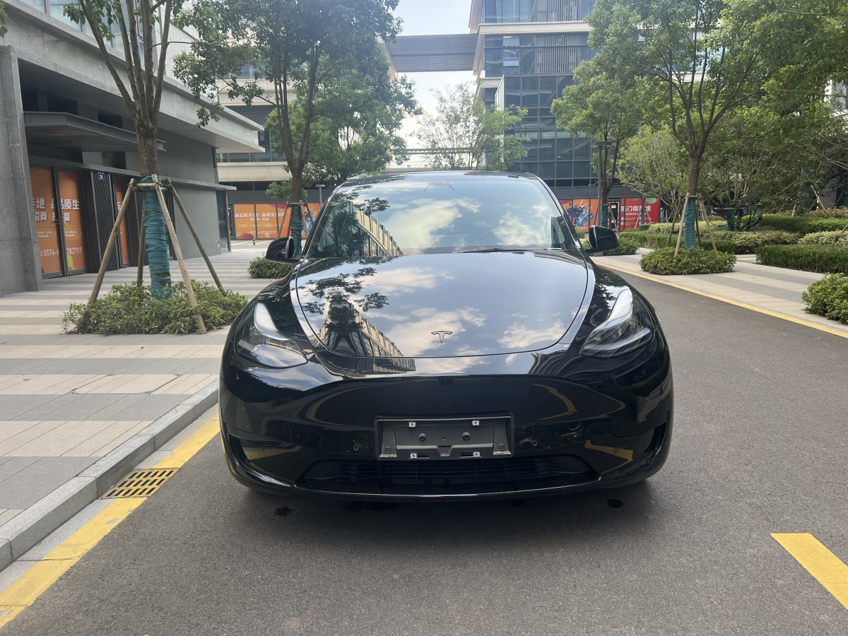 2023年3月特斯拉 Model Y  2022款 后輪驅(qū)動版