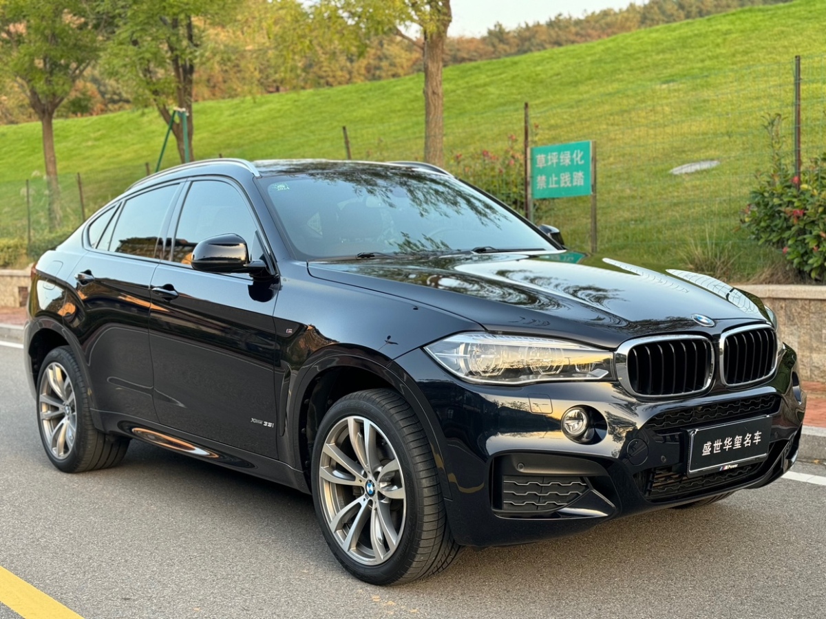 寶馬 寶馬X6  2018款 xDrive35i 領(lǐng)先型圖片