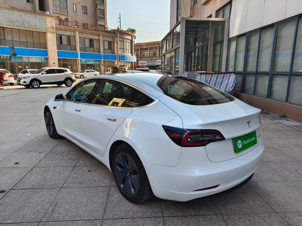 特斯拉 Model 3  2019款 长续航全轮驱动版图片