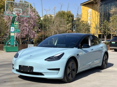 2021年9月 特斯拉 Model 3 標(biāo)準(zhǔn)續(xù)航后驅(qū)升級(jí)版圖片