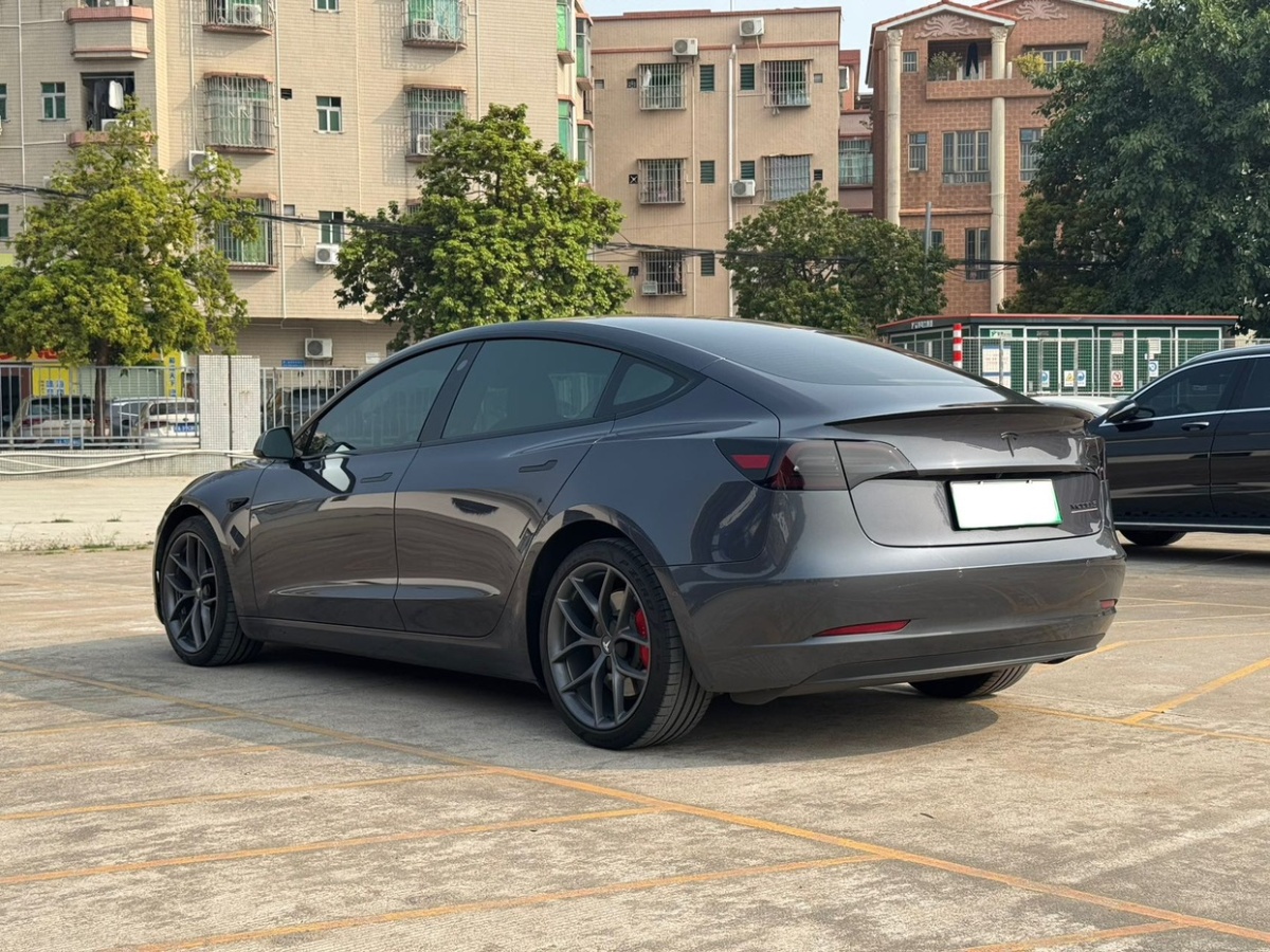 特斯拉 Model 3  2019款 Performance高性能全輪驅(qū)動版圖片