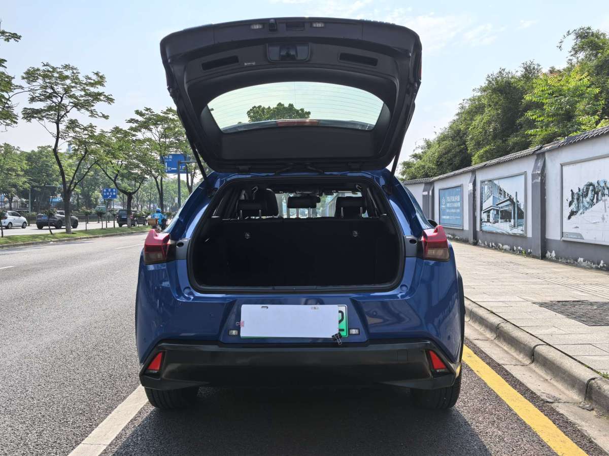 雷克薩斯 雷克薩斯UX新能源  2020款 300e 純?悅版圖片