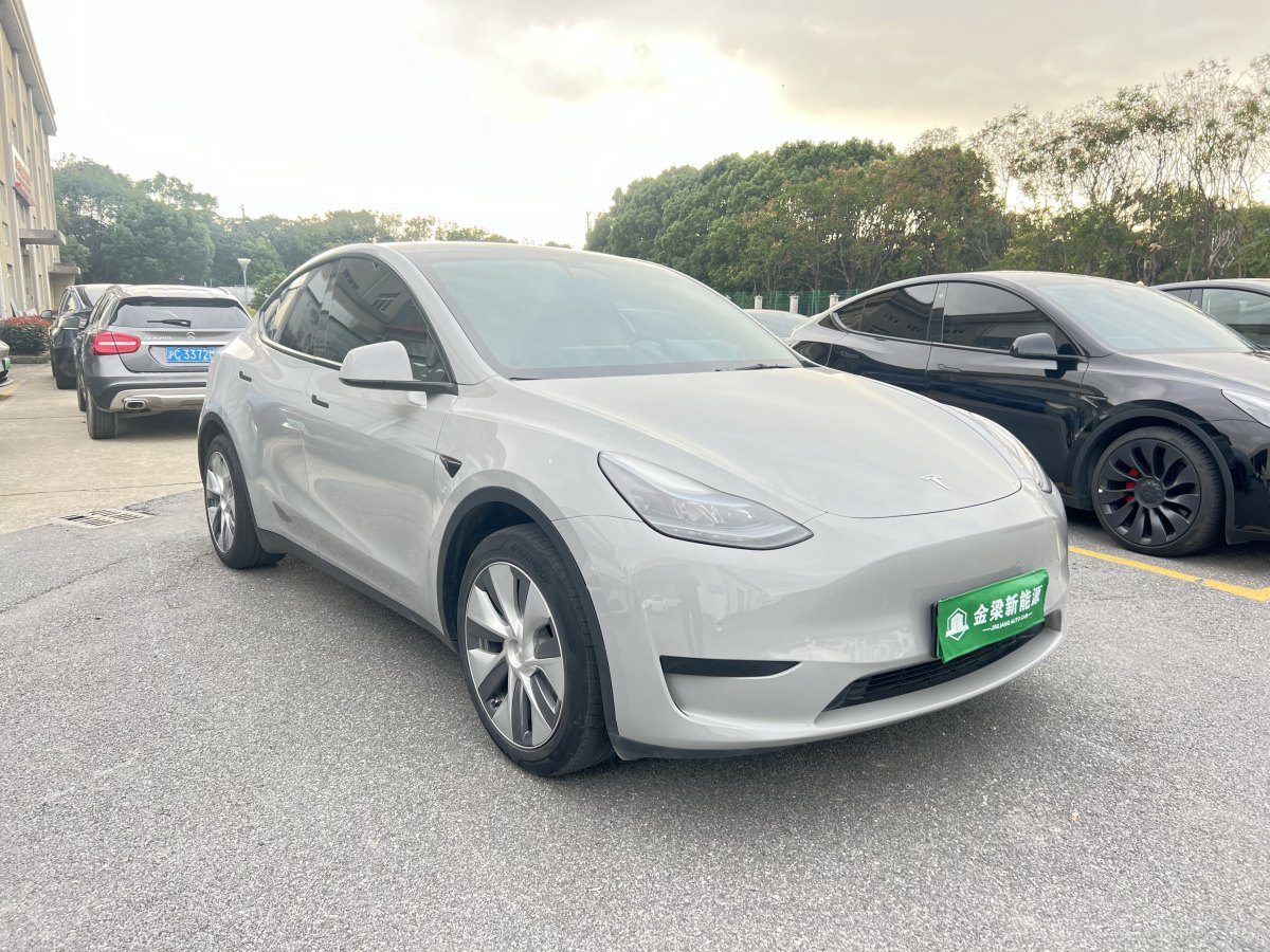 特斯拉 Model 3  2020款 改款 長(zhǎng)續(xù)航后輪驅(qū)動(dòng)版圖片