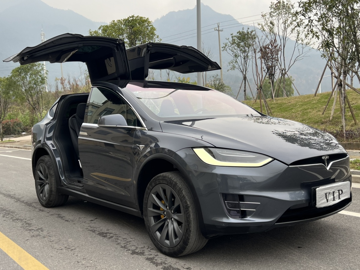 特斯拉 Model X  2019款 標準續(xù)航版圖片