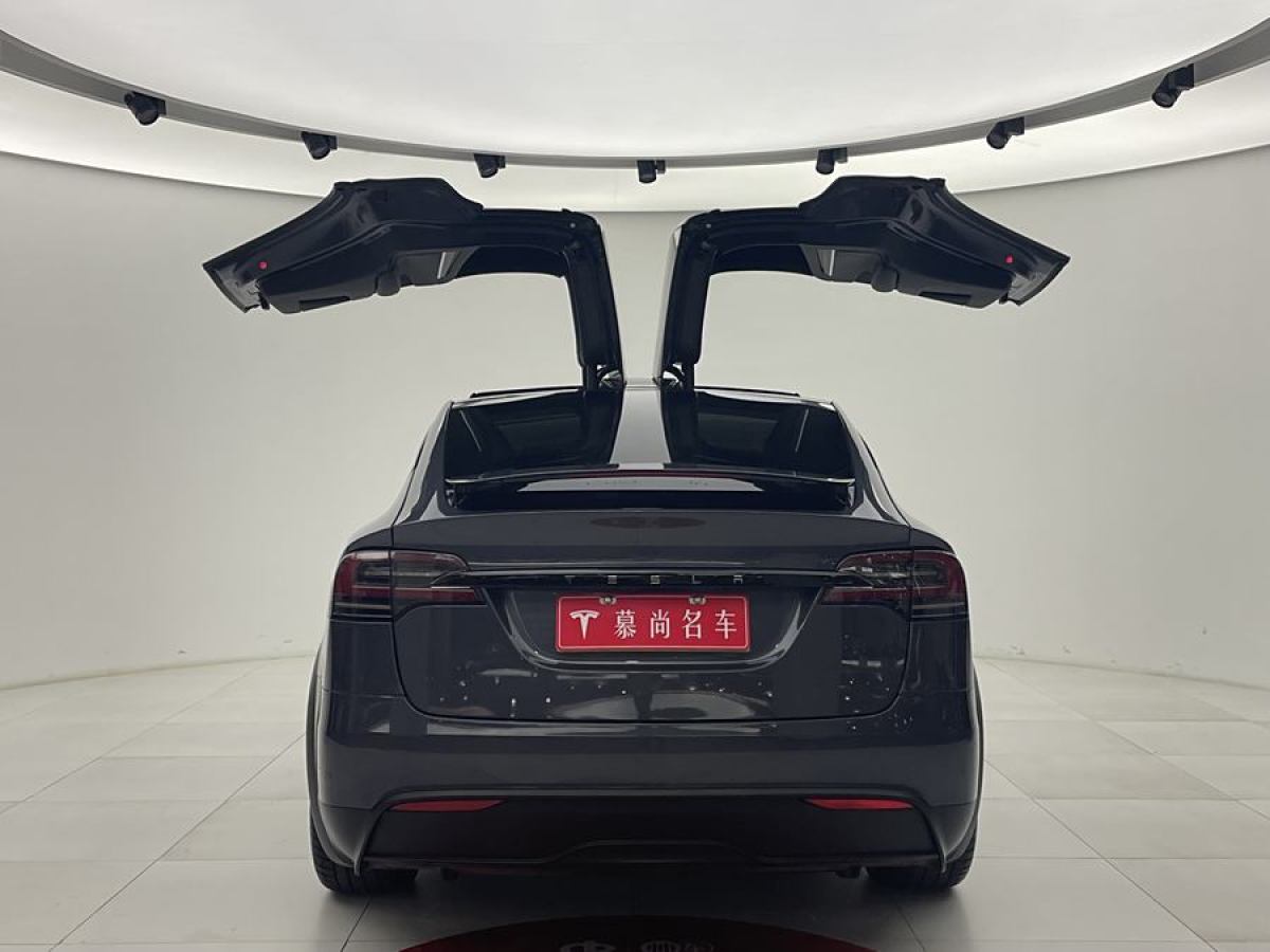 特斯拉 Model X  2023款 雙電機(jī)全輪驅(qū)動(dòng)版圖片