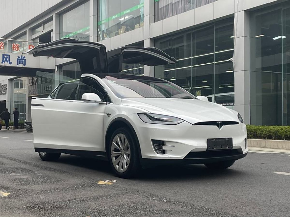 特斯拉 Model X  2019款 長續(xù)航版圖片