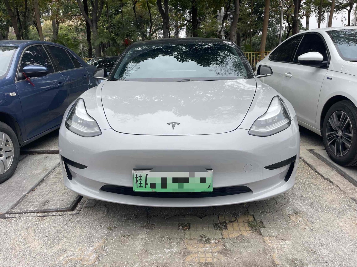 特斯拉 Model 3  2019款 標(biāo)準(zhǔn)續(xù)航后驅(qū)升級版圖片