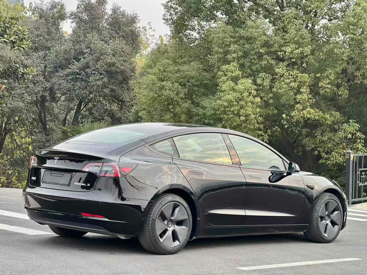 特斯拉 Model Y  2021款 標準續(xù)航后驅版圖片