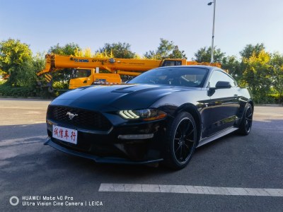 2020年9月 福特 Mustang(进口) 2.3L EcoBoost图片