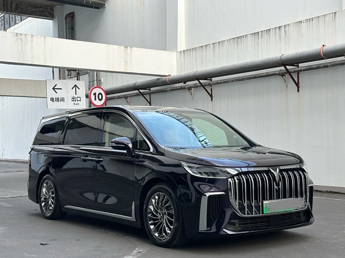 嵐圖 夢想家  2024款 PHEV 超長續(xù)航旗艦版圖片