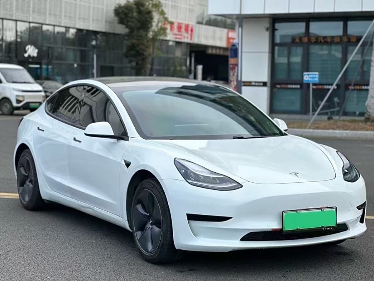 特斯拉 Model 3  2019款 標(biāo)準(zhǔn)續(xù)航后驅(qū)升級(jí)版圖片