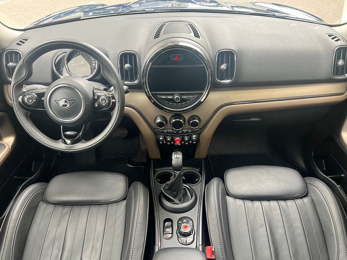 MINI COUNTRYMAN  2018款 2.0T COOPER S ALL4 藝術(shù)家圖片